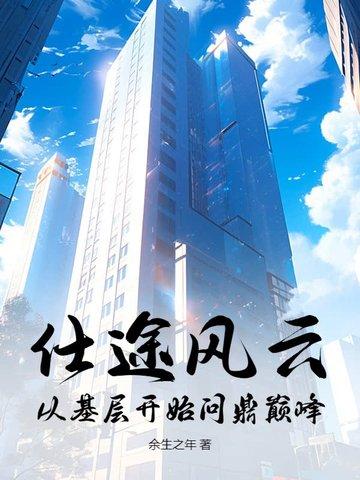 仕途风云阅读