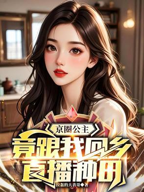 京圈公主系列