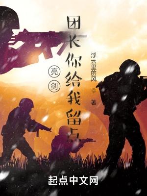 亮剑之我的团长光荣使命